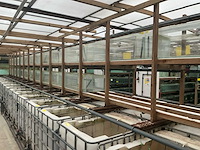 Partij aquariums (circa 1700 stuks) - afbeelding 19 van  20
