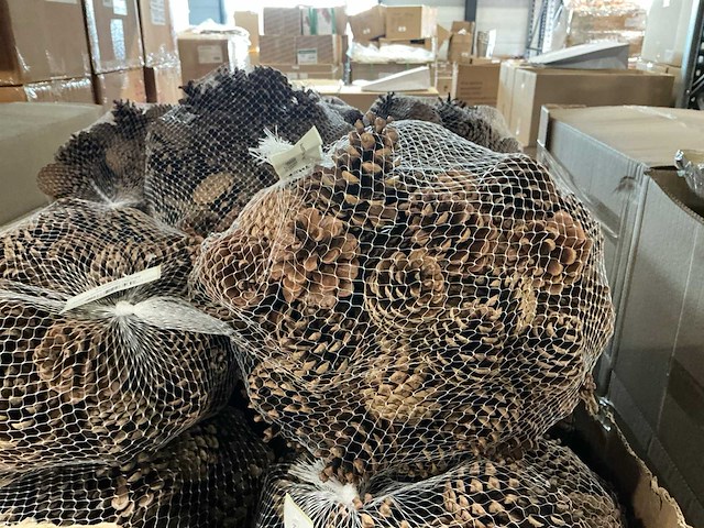 Partij austria cone naturel 1kg per bag (110x) - afbeelding 1 van  4