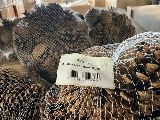 Partij austria cone naturel 1kg per bag (110x) - afbeelding 2 van  4