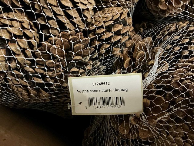 Partij austria cone naturel 1kg per bag (200x) - afbeelding 1 van  1