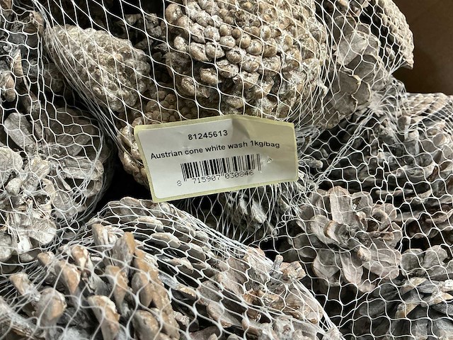 Partij austria cone white wash 1kg per bag (120kg) - afbeelding 4 van  4