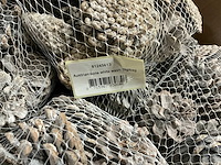 Partij austria cone white wash 1kg per bag (120kg) - afbeelding 4 van  4