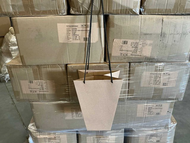Partij bag basic carton 24/24x13/13xh30cm (2500x) - afbeelding 1 van  4