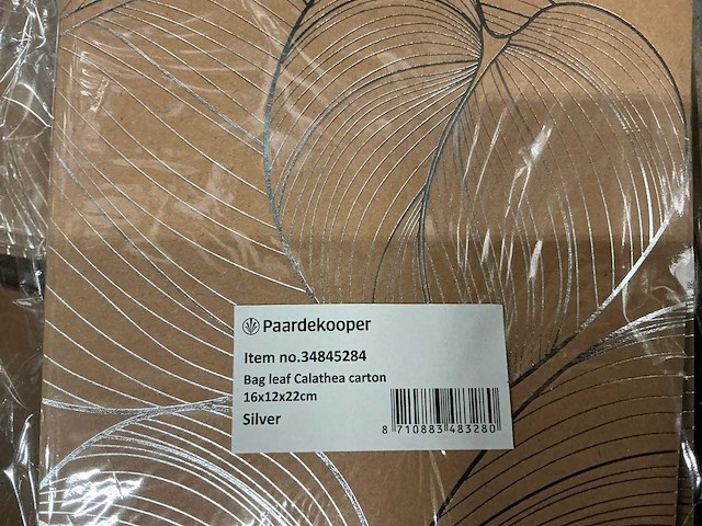 Partij bags leaf calathea carton 16x12x22cm silver (400x) - afbeelding 7 van  7
