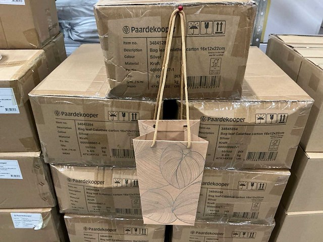 Partij bags leaf calathea carton 16x12x22cm silver (500x) - afbeelding 1 van  7