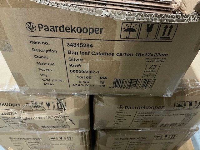 Partij bags leaf calathea carton 16x12x22cm silver (500x) - afbeelding 5 van  7