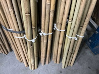 Partij bamboestokken (1325x) - afbeelding 3 van  3