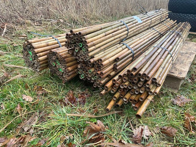 Partij bamboestokken - afbeelding 3 van  3