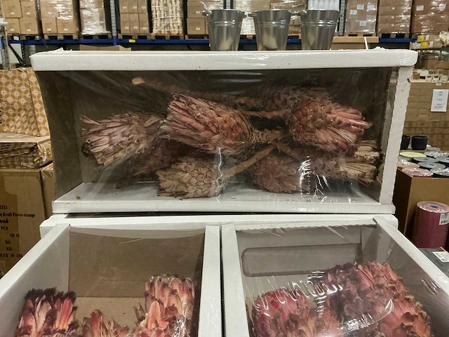 Partij barbirega flower pink (250x) - afbeelding 4 van  4