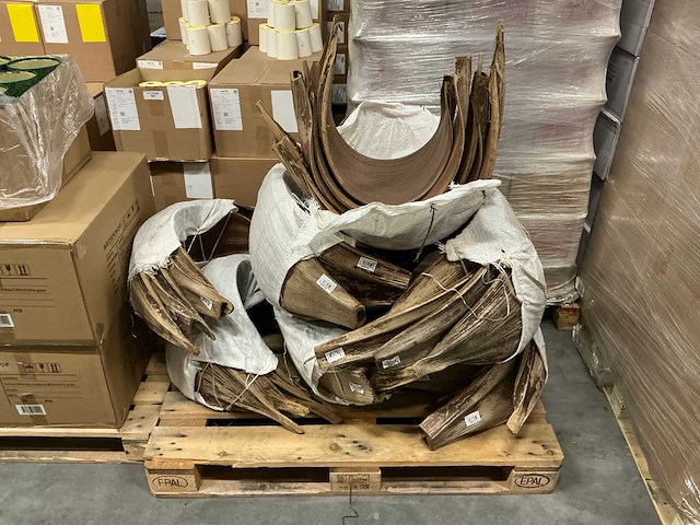 Partij basic galera big l60cm (35x) - afbeelding 3 van  4