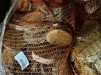 Partij berkenschijven diameter 10-12/d2cm (49x) - afbeelding 2 van  4