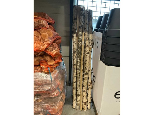 Partij berkenstammen h200cm (14x) - afbeelding 2 van  4