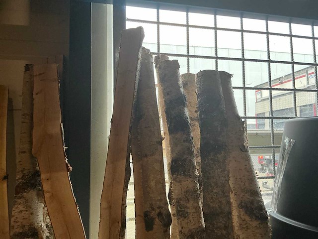 Partij berkenstammen h200cm (14x) - afbeelding 3 van  4