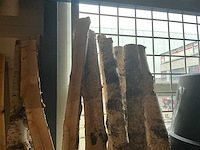 Partij berkenstammen h200cm (14x) - afbeelding 3 van  4