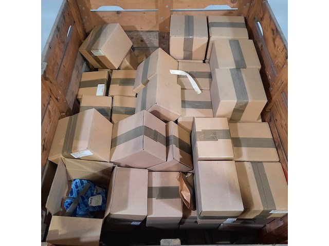 Partij beschermkapjes, daf, 0614913 - afbeelding 2 van  7