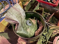 Partij bevestigingsmaterialen - afbeelding 4 van  5