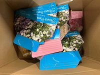 Partij bierbrouwerij benodigdheden - afbeelding 4 van  12