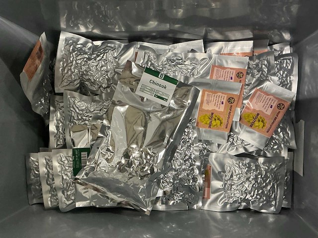 Partij bierbrouwerij benodigdheden - afbeelding 22 van  24