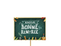 Partij bijstekers (circa 539 pallets) - afbeelding 23 van  406