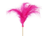 Partij bijstekers (circa 539 pallets) - afbeelding 81 van  406