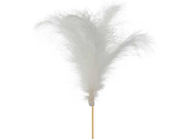 Partij bijstekers (circa 539 pallets) - afbeelding 85 van  406