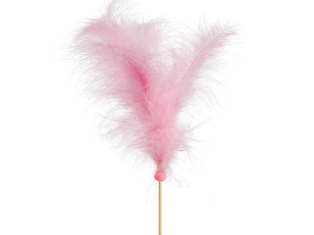 Partij bijstekers (circa 539 pallets) - afbeelding 86 van  406