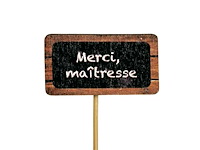 Partij bijstekers (circa 539 pallets) - afbeelding 99 van  406