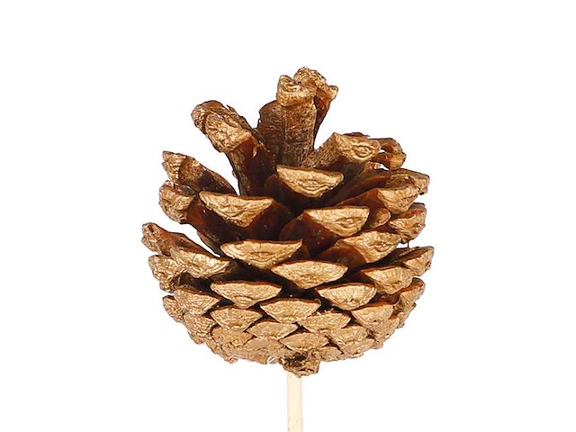 Partij bijstekers (circa 539 pallets) - afbeelding 90 van  406