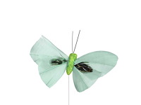 Partij bijstekers (circa 539 pallets) - afbeelding 171 van  406