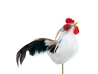 Partij bijstekers (circa 539 pallets) - afbeelding 172 van  406