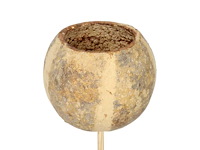 Partij bijstekers (circa 539 pallets) - afbeelding 183 van  406