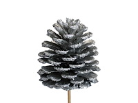 Partij bijstekers (circa 539 pallets) - afbeelding 187 van  406