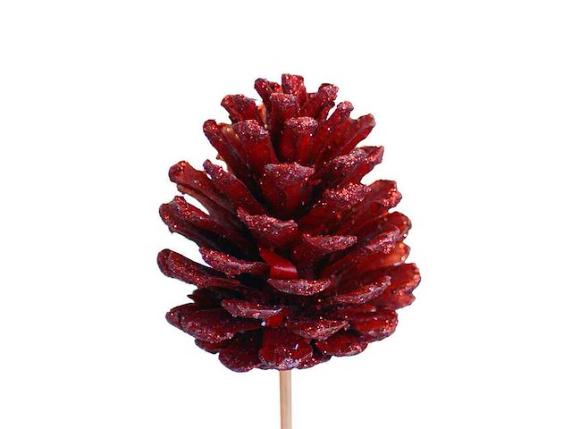 Partij bijstekers (circa 539 pallets) - afbeelding 188 van  406