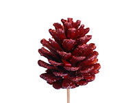 Partij bijstekers (circa 539 pallets) - afbeelding 188 van  406