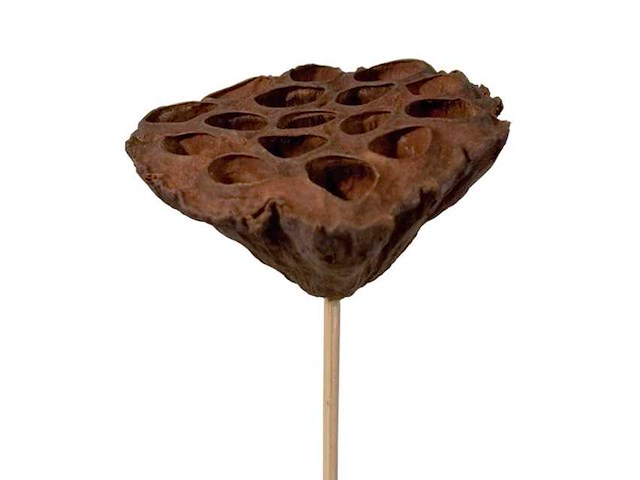 Partij bijstekers (circa 539 pallets) - afbeelding 189 van  406