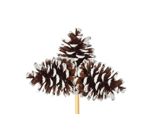 Partij bijstekers (circa 539 pallets) - afbeelding 210 van  406