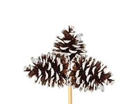 Partij bijstekers (circa 539 pallets) - afbeelding 210 van  406