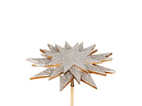 Partij bijstekers (circa 539 pallets) - afbeelding 255 van  406