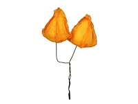 Partij bijstekers (circa 539 pallets) - afbeelding 270 van  406