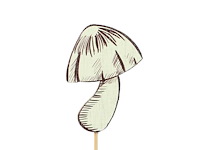 Partij bijstekers (circa 539 pallets) - afbeelding 276 van  406