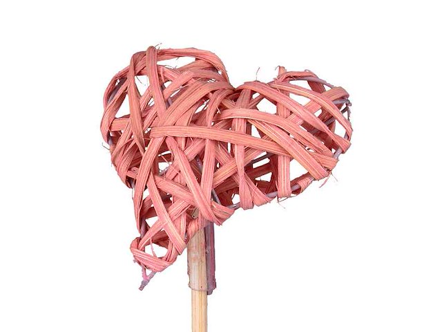 Partij bijstekers (circa 539 pallets) - afbeelding 305 van  406