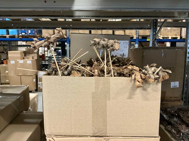 Partij bijstekers coco bunch 9cm+12cm stok (2700x) - afbeelding 1 van  4