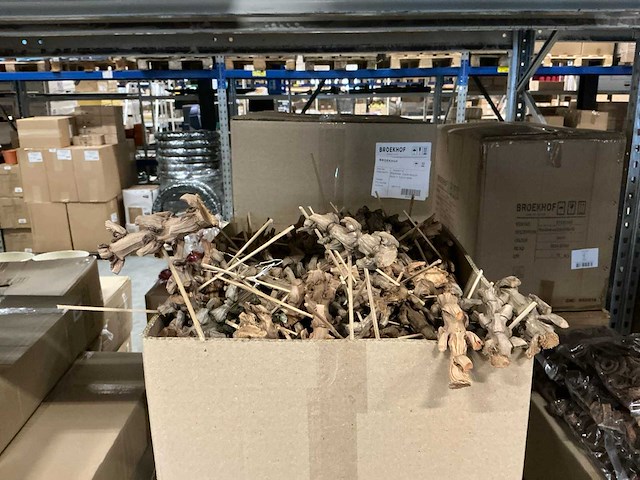 Partij bijstekers coco bunch 9cm+12cm stok (2700x) - afbeelding 3 van  4