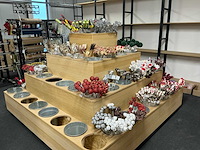 Partij bijstekers - afbeelding 21 van  34