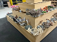 Partij bijstekers - afbeelding 28 van  34