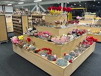 Partij bijstekers - afbeelding 31 van  34