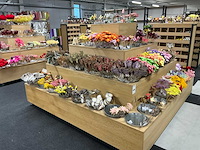 Partij bijstekers - afbeelding 32 van  34