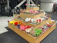 Partij bijstekers - afbeelding 34 van  34