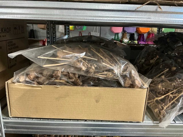 Partij bijstekers - afbeelding 22 van  23