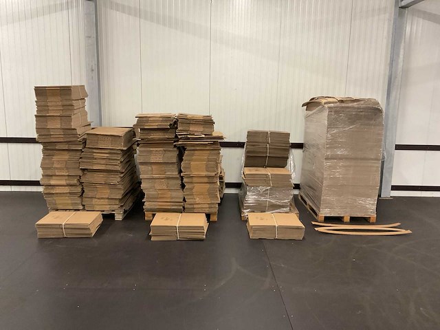 Partij biobuddi kartonnen dozen en stroken - afbeelding 1 van  10